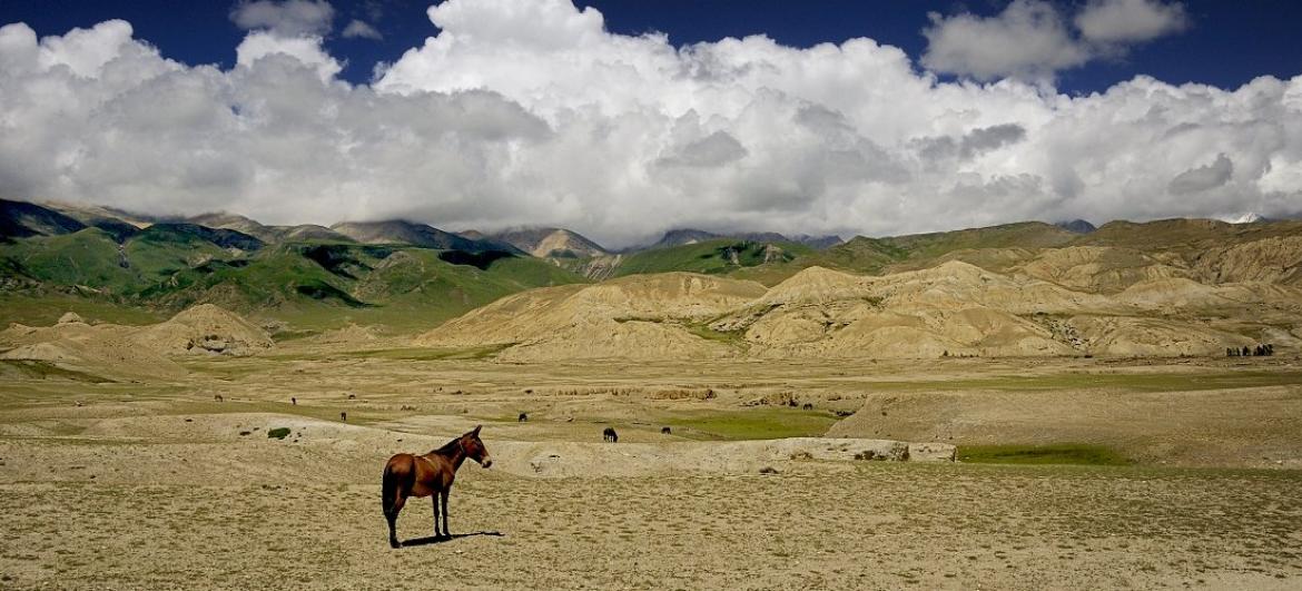 Túra Ghar Gumba - Lo Manthang