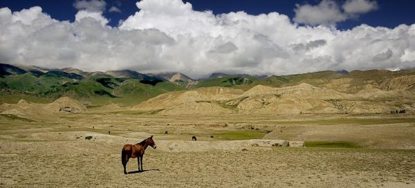 Túra Ghar Gumba - Lo Manthang
