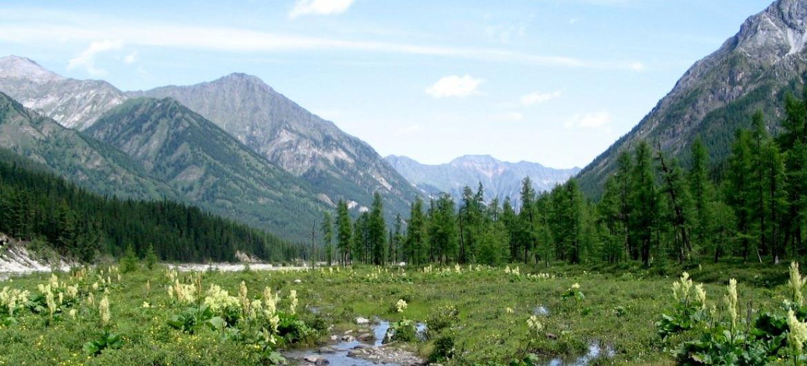 Trek ze Šumaku do Aršanu